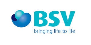 Logótipo BSV